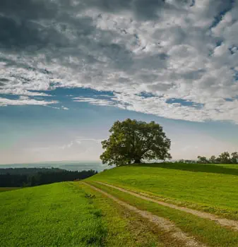 360 Interactive Tours